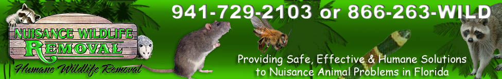Nuisance Wildlife Removal serves Manatee, Sarasota, Orange, Palm Beach, Charlotte, Hillsborough, Pinellas, Polk and Lee Counties in Central Florida with Humane Wildlife Removal